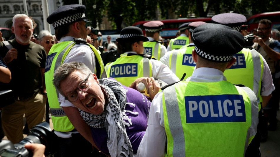 Mehr als 520 Festnahmen bei Protest für verbotene pro-palästinensische Gruppe in London