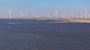 China hopes US will 'some day' return to climate fold, official tells AFP