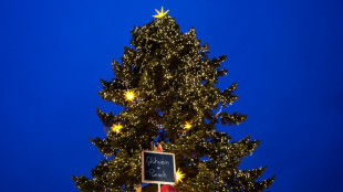 Hundert Weihnachtsb&auml;ume von Supermarktgel&auml;nde in Th&uuml;ringen gestohlen