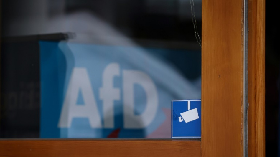 Gr&uuml;ne wollen AfD-Mitgliedern die Waffen abnehmen lassen