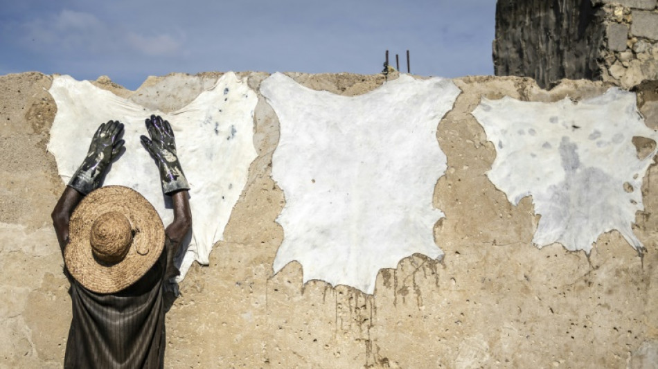 Sought by luxury labels, Nigerian leather reclaims home market