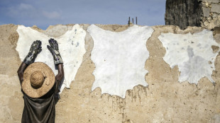 Sought by luxury labels, Nigerian leather reclaims home market