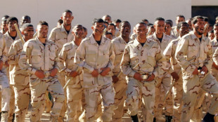 Sending mercenaries to Libya main income source for Darfur armed groups: UN 