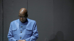 S.African ex-president Zuma escapes unharmed from car crash: police