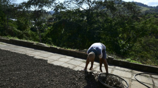 La economía brasileña se desacelera en el segundo trimestre (+0,4%)