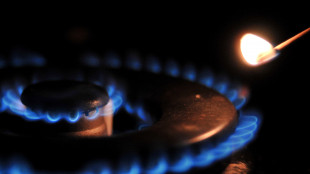Gme, prezzo gas in Italia in rialzo a 46,66 euro al MWh