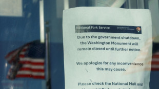 Wall Street stocks shrug off start of US shutdown