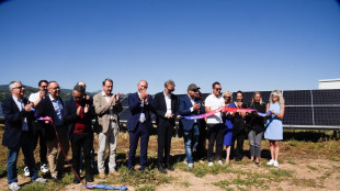 Il gruppo Magis inaugura un impianto fotovoltaico nel Vicentino