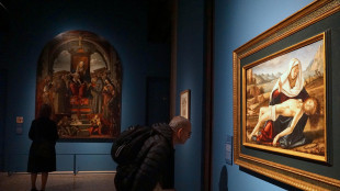 Foglie e licheni per difendere beni culturali dall'inquinamento