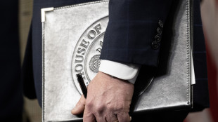 Camera Usa approva legge per divulgare file Epstein