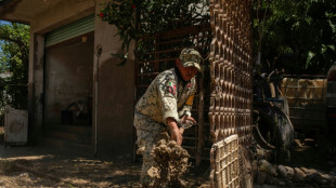 Pluies torrentielles au Mexique: 47 morts, les secouristes tentent de rouvrir des routes