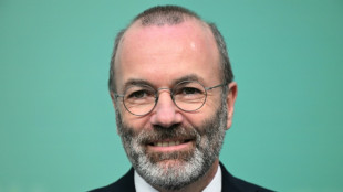 Gr&ouml;nland-Streit: EVP-Chef Weber begr&uuml;&szlig;t Zeichen der Entspannung aus Davos