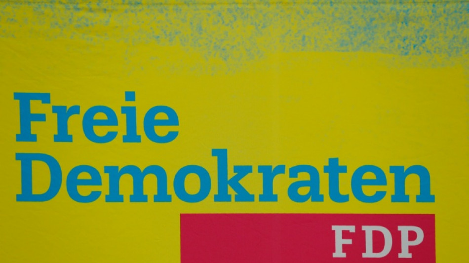 FDP-Kandidaturen: Kubicki und H&ouml;ne wollen nicht als Gegner verstanden werden