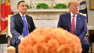 Trump to dine with Polish president in New York