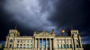 Bundestagsausschuss stimmt &uuml;ber Teilwiederholung der Wahl in Berlin ab