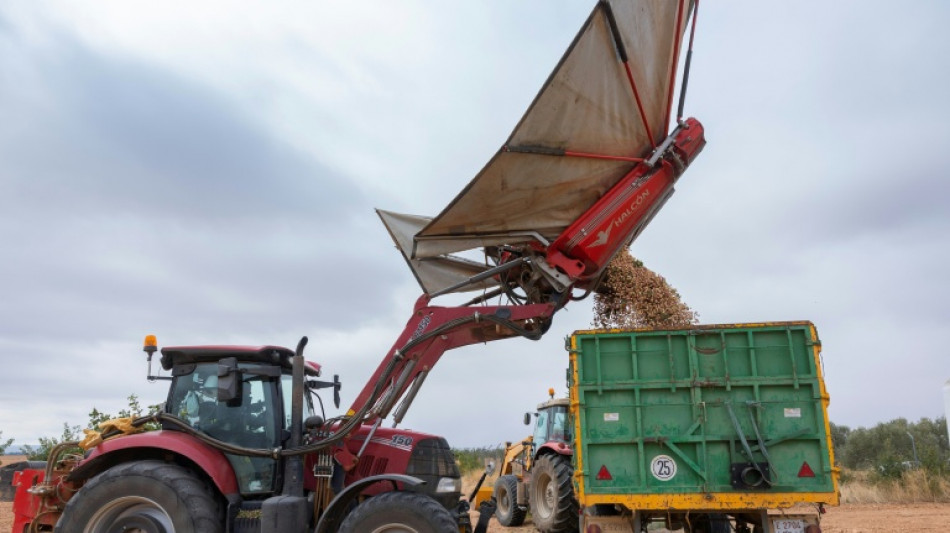 Revisan al alza el crecimiento de la economía española en 2024, hasta el 3,5%