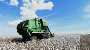 Brazil farmers bet on environmentally friendly cotton