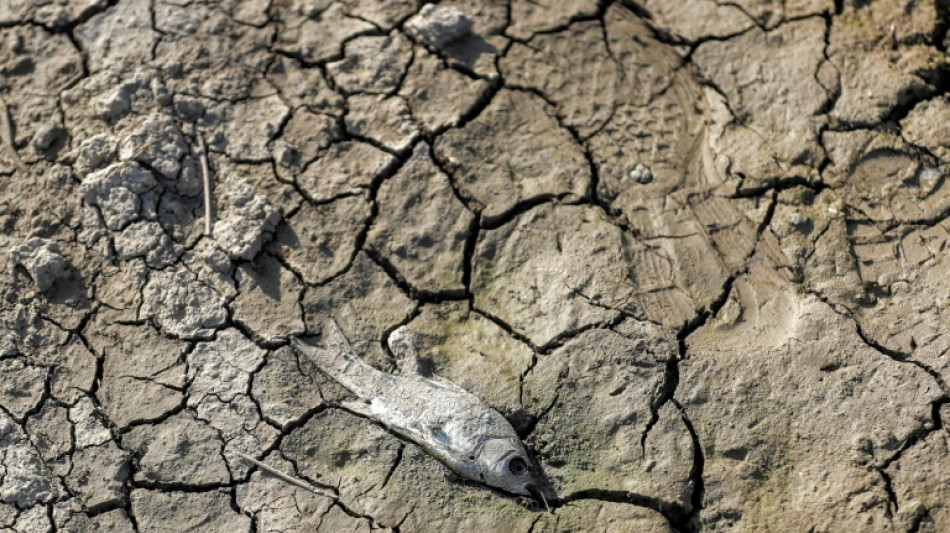 Deutschland und betroffene Staaten werben f&uuml;r "Global Shield" gegen Klimakatastrophen