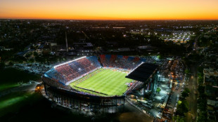 &iquest;Clubes o empresas? Una discusi&oacute;n que enfrenta a Milei con el f&uacute;tbol argentino