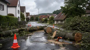 Aufr&auml;umarbeiten nach Sturm in Bohlingen dauern mehrere Tage