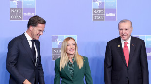 Meloni, 'se investiamo in difesa quei soldi devono restare in Italia'