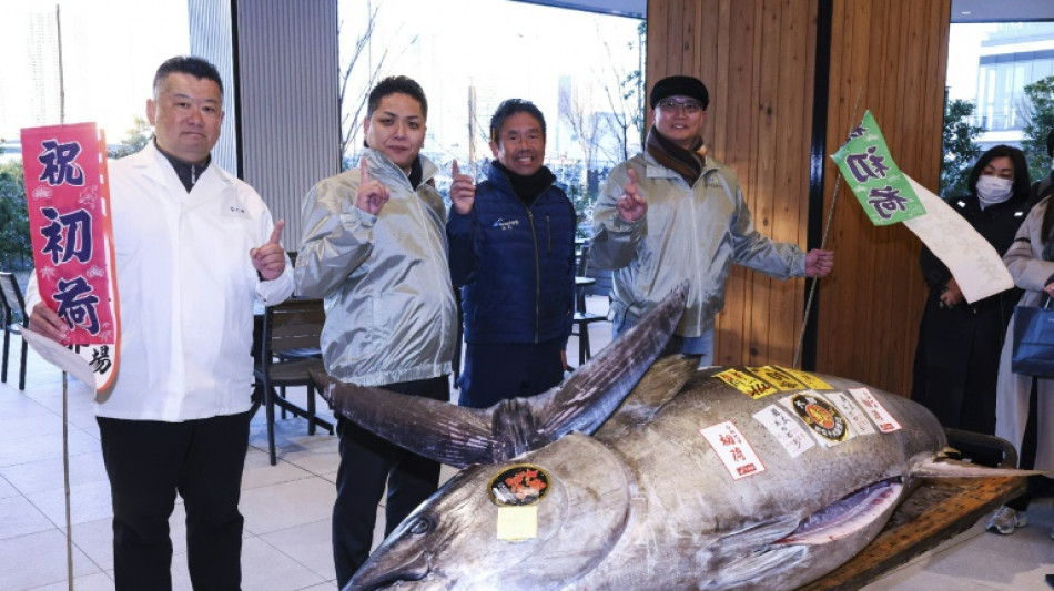 Un at&uacute;n rojo se vende en m&aacute;s de un mill&oacute;n de d&oacute;lares en una subasta en Jap&oacute;n