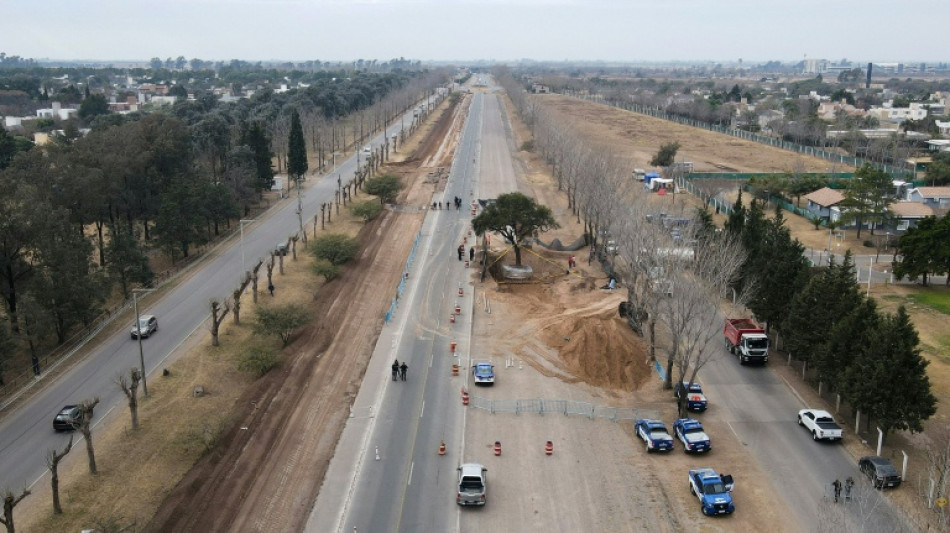 Traslado de un árbol de casi 300 años provoca protestas en Argentina