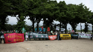 "Pas tous" pour la loi "Duplomb": des paysans et militants manifestent à Paris