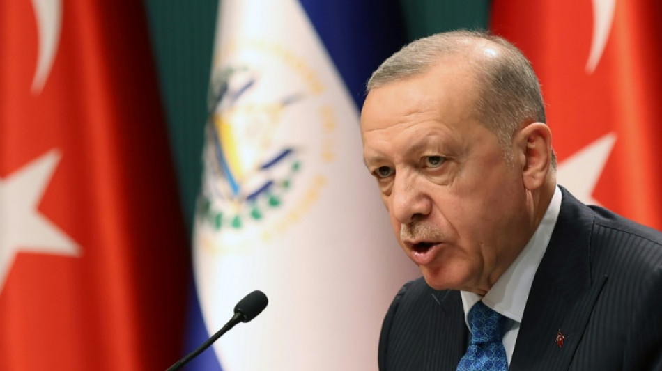 Popul&auml;re t&uuml;rkische TV-Journalistin wegen "Pr&auml;sidentenbeleidigung" in U-Haft