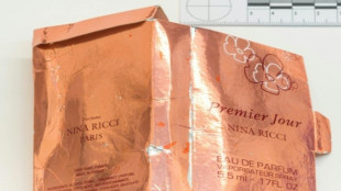 Poutine porte la "responsabilité morale" de la mort d'une Britannique empoisonnée au Novitchok en 2018