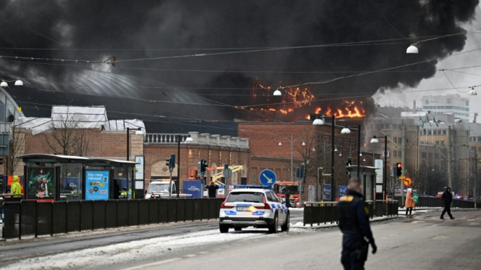 Large fire breaks out at Sweden's biggest amusement park