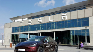 Tesla profits tumble but shares rise on new vehicle plan