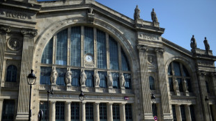 Paris police kill attacker at Gare du Nord