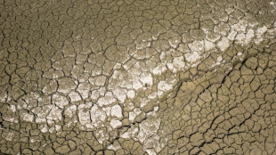 Canicule : 80 d&eacute;partements en vigilance orange, les pompiers d&eacute;&ccedil;us par Beauvau