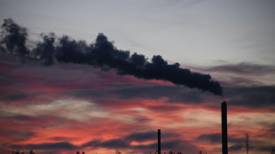 Climate pledges of big firms 'critically insufficient': report