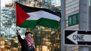 Tensions flare at US universities over Gaza protests