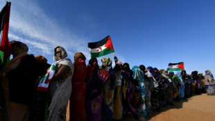 UN refugees chief warns conditions in W.Sahara 'deteriorating' 