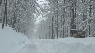 ++ Protezione civile Abruzzo, &egrave; allarme valanghe, massima prudenza ++