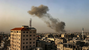 Israel must 'ensure urgent humanitarian assistance' in Gaza: ICJ 