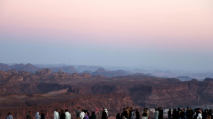Saudi more than doubles 2030 foreign tourism target: minister