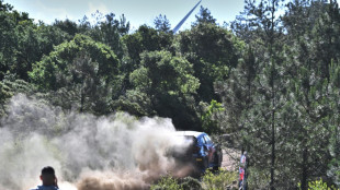 Ogier pulls clear in Rally Italia
