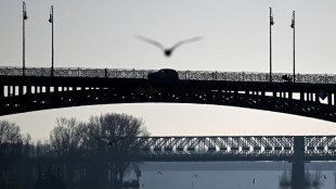 Feuerwehr rettet M&ouml;we von Rheinbr&uuml;cke: Einsatz mit Drehleiter und spontanem Applaus