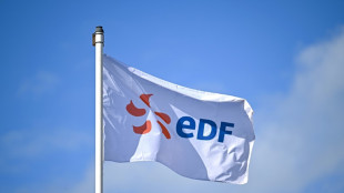 Electricité: EDF signe un 1er gros contrat pour des centres de données en France