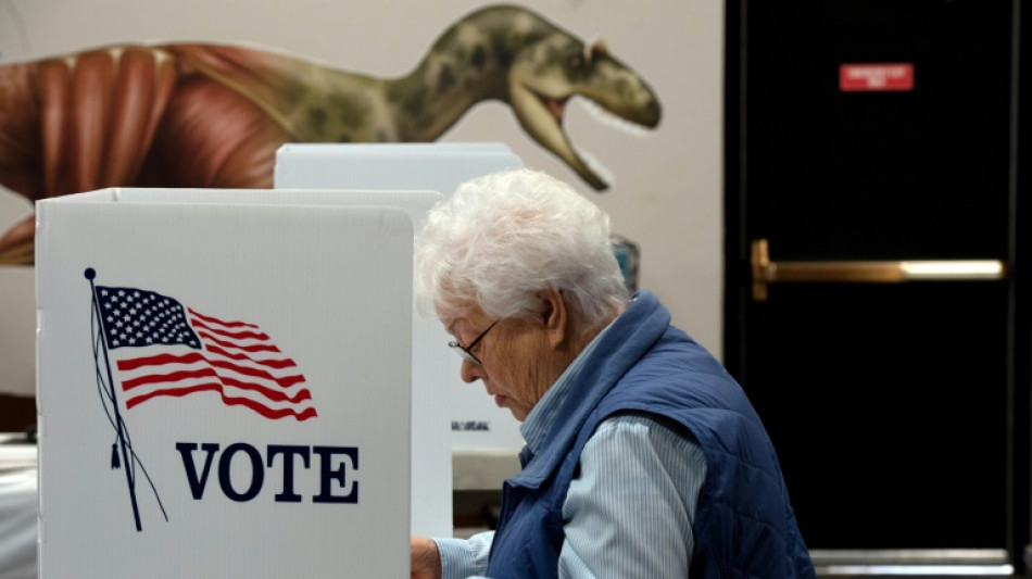 Biden celebra un "buen d&iacute;a para la democracia" mientras ola republicana se desvanece