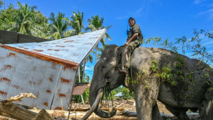 Inondations en Indon&eacute;sie: le bilan monte &agrave; 950 morts et 5.000 bless&eacute;s