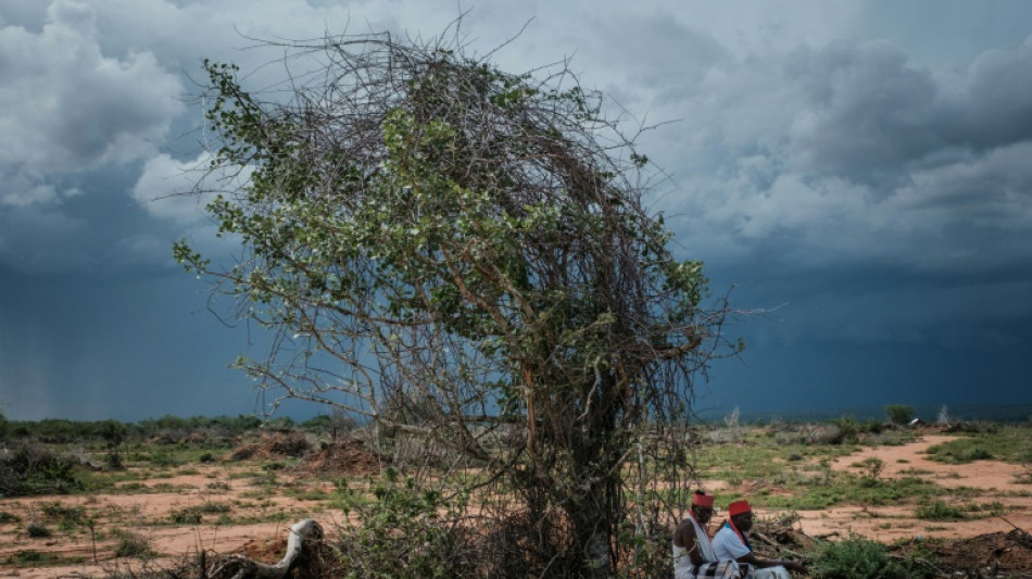 Je&ucirc;ne mortel dans une secte au Kenya: le bilan monte &agrave; 89 morts