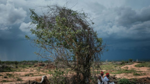 Je&ucirc;ne mortel dans une secte au Kenya: le bilan atteint 90 morts, les recherches suspendues