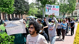 More than 100 arrested at US university pro-Palestinian protests