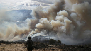Colombie: l'incendie mena&ccedil;ant un haut lieu touristique en grande partie ma&icirc;tris&eacute;