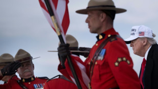 Trump ganó más de 57 millones de dólares gracias a las criptomonedas